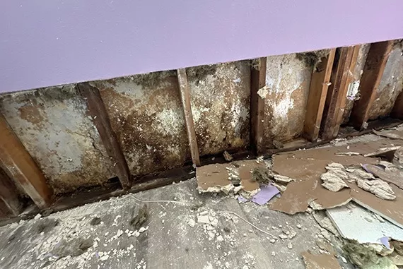 Affordable Water Mitigation - Water damage