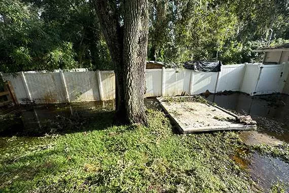 storm damage in garden