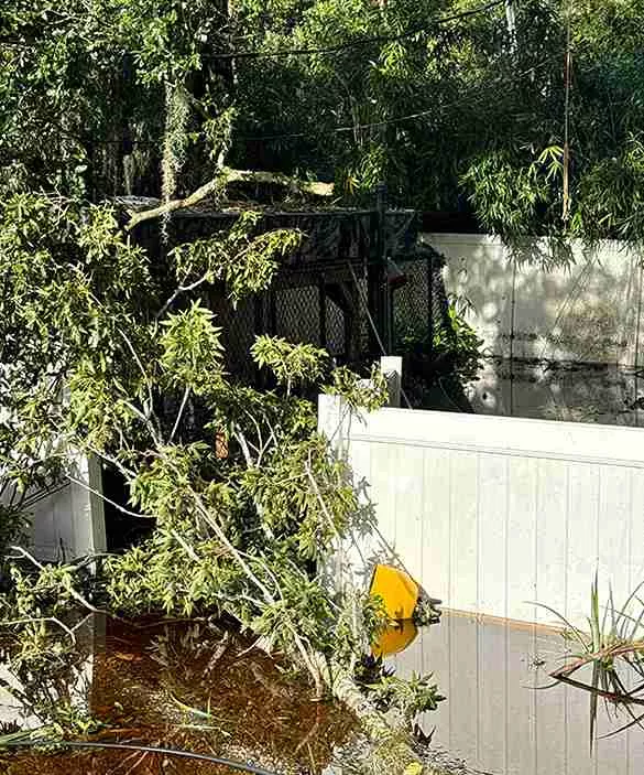Storm Damage Restoration in Florida