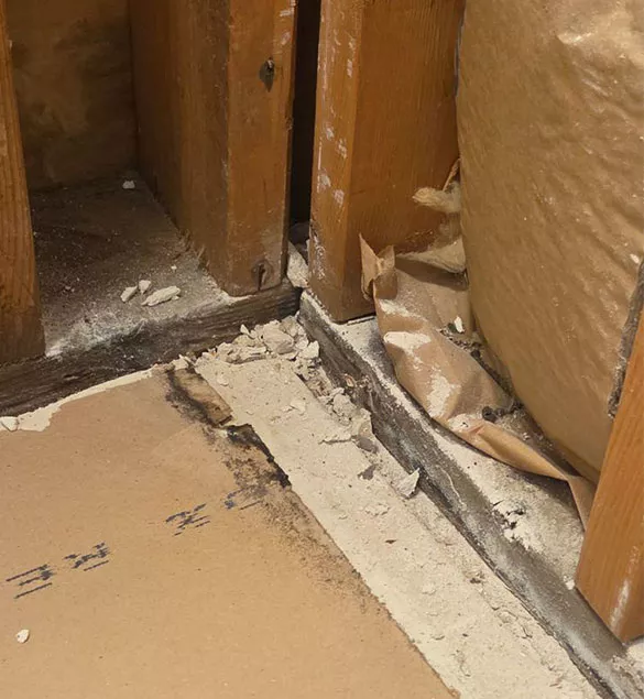 Schedule Mold Damage Restoration in Florida