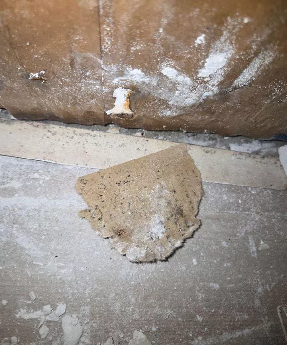 Licensed Mold Remediation Matters