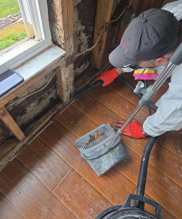 restoration-services